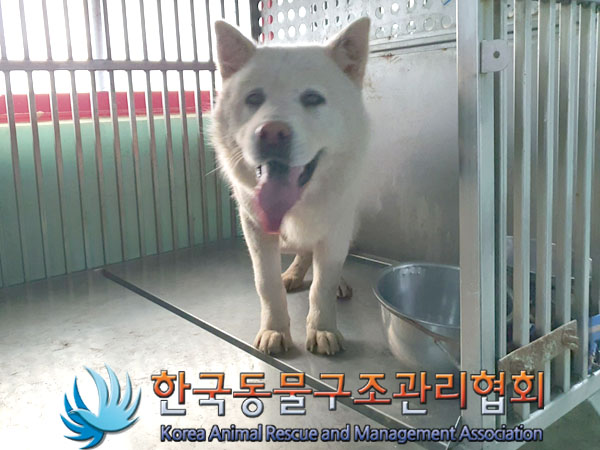 한국동물구조관리협회_441414202300958